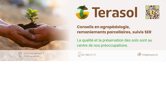terassol